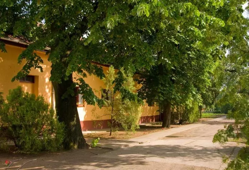 ベッドアンドブレックファースト Bátor Park Panzió