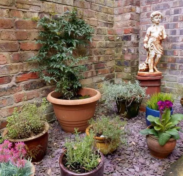 The Library House B&b