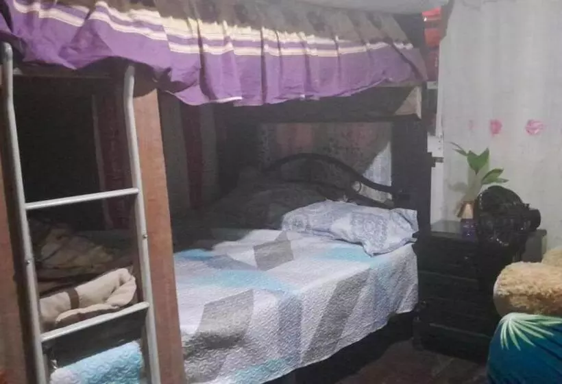 ユースホステル Hostal Cafe Axel