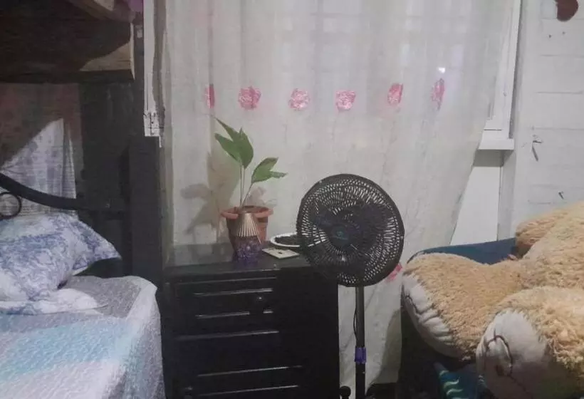 ユースホステル Hostal Cafe Axel