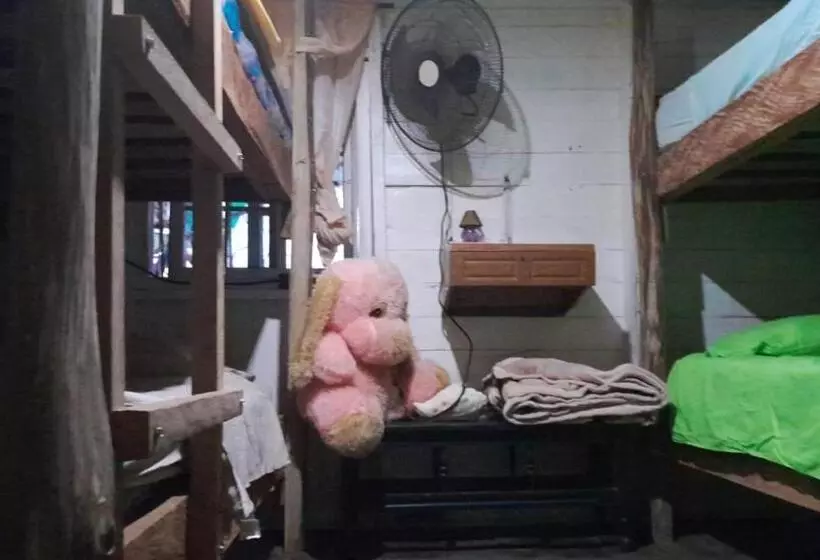 ユースホステル Hostal Cafe Axel