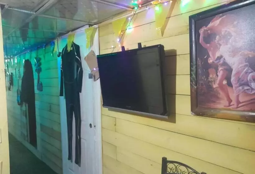 ユースホステル Hostal Cafe Axel