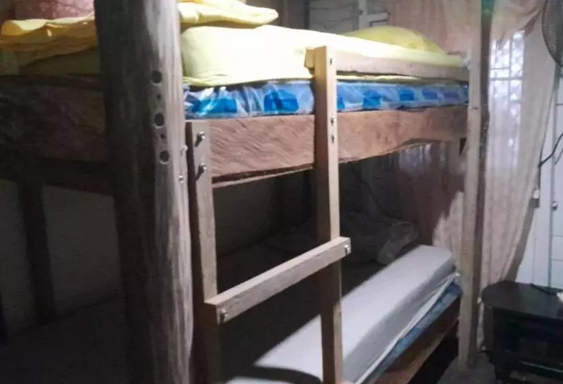 ユースホステル Hostal Cafe Axel