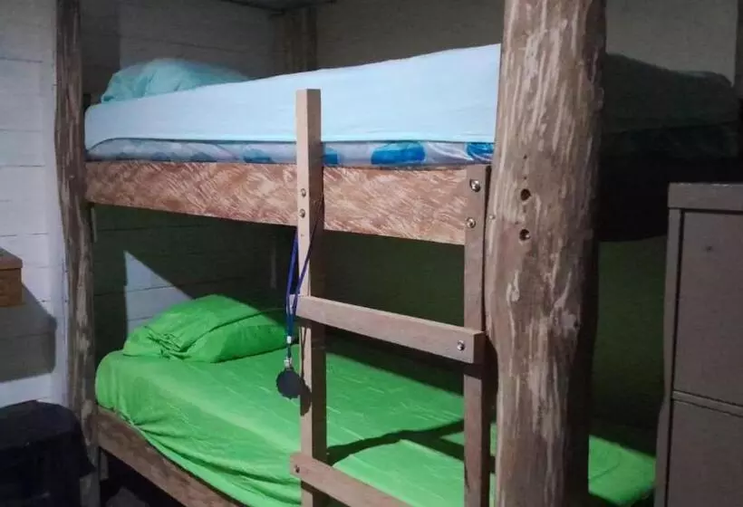 ユースホステル Hostal Cafe Axel