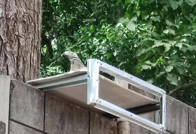 پانسیون La Table De Apoyo