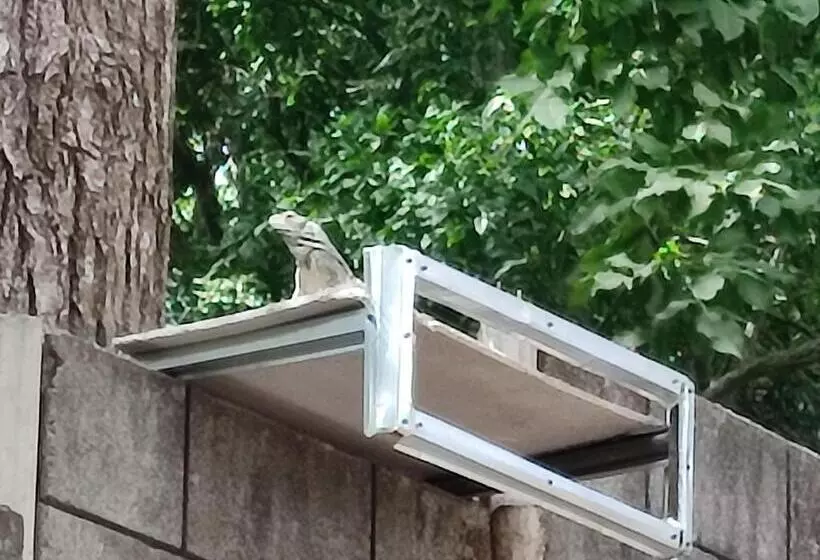 پانسیون La Table De Apoyo