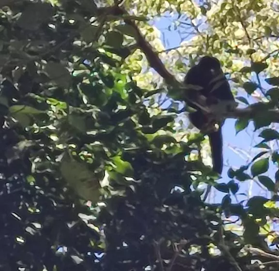 پانسیون La Table De Apoyo