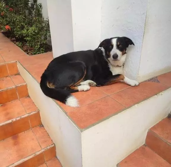 پانسیون La Table De Apoyo