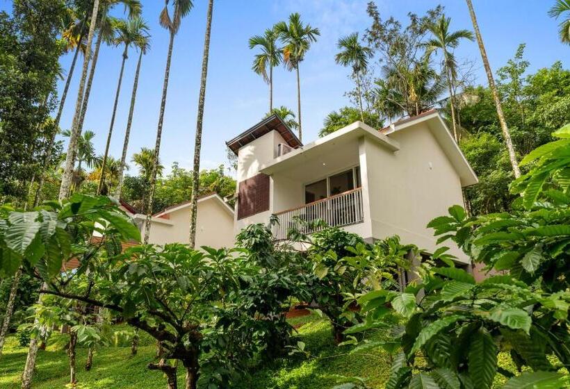 Resort Theyila Wayanad