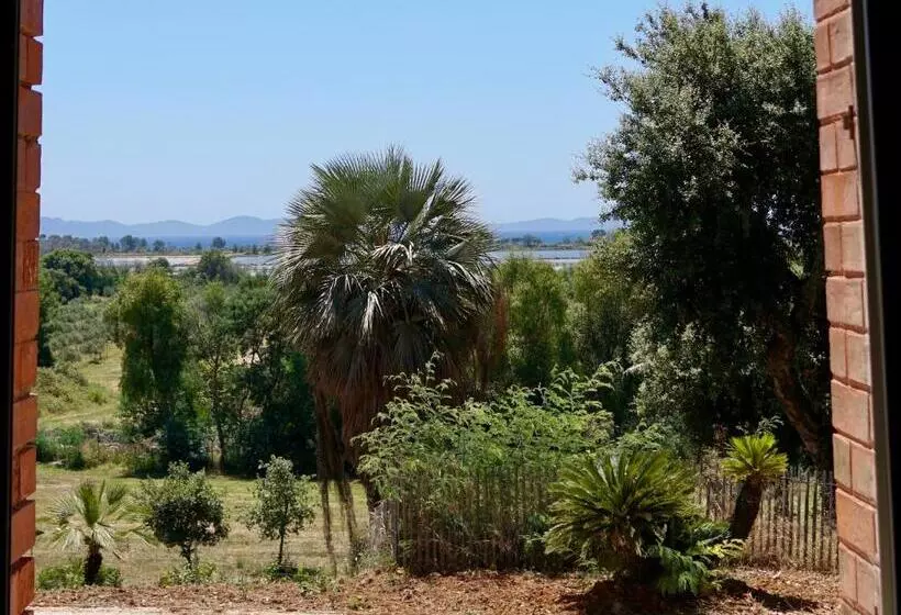 ベッドアンドブレックファースト Chateau Pascalette