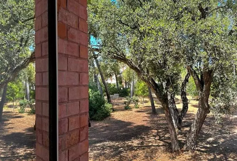 ベッドアンドブレックファースト Chateau Pascalette