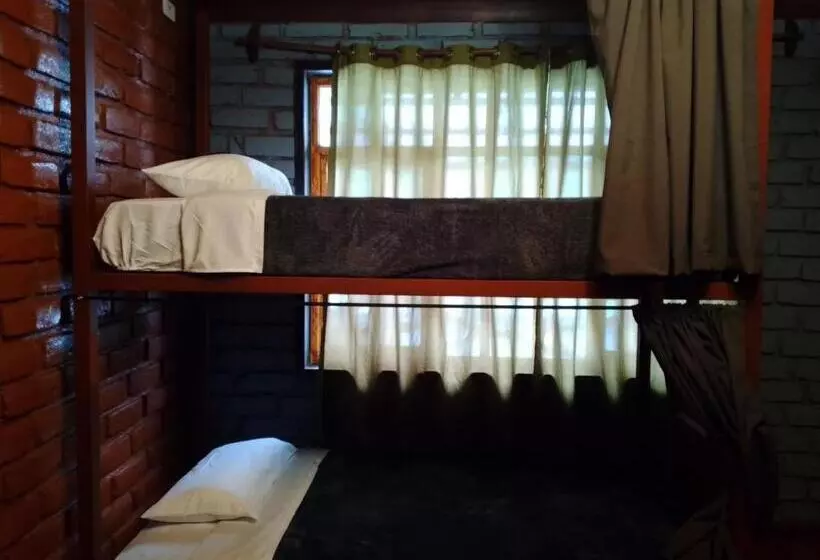 Aamiaismajoitus (B&B) Dystopia Hostel   All Day Breakfast