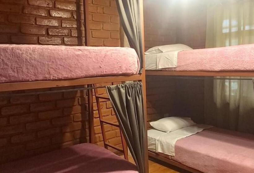 Bed & Breakfast Dystopia Hostel All Day Breakfast