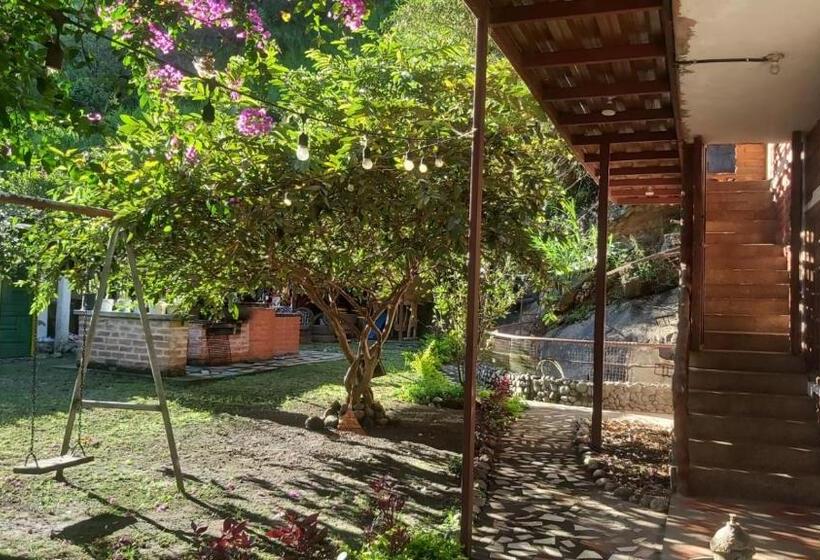 Bed & Breakfast Dystopia Hostel All Day Breakfast