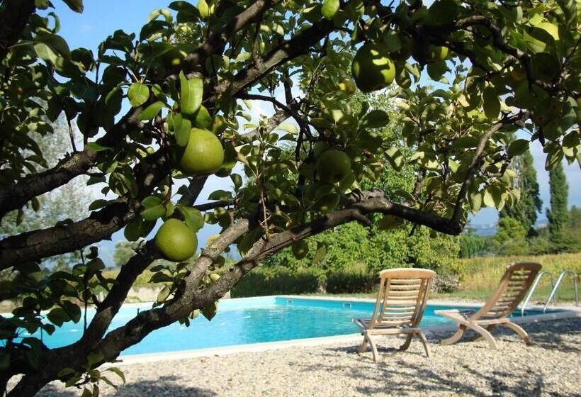 צימר Les Lavandes