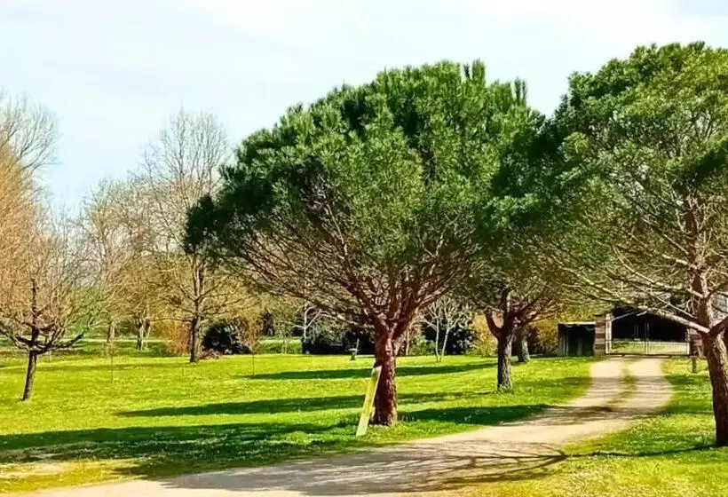 ベッドアンドブレックファースト Spacieuse Chambre Indépendante Avec Salle D Eau Privative à Lempaut