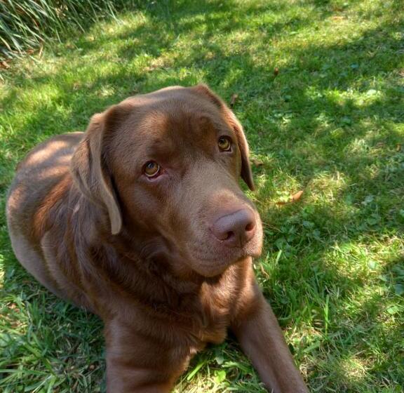 צימר Villa Adèle