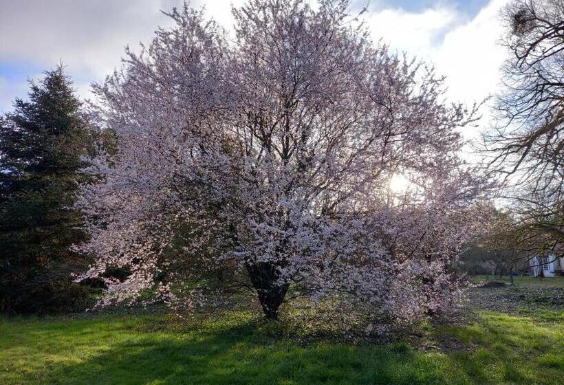 צימר Villa Adèle