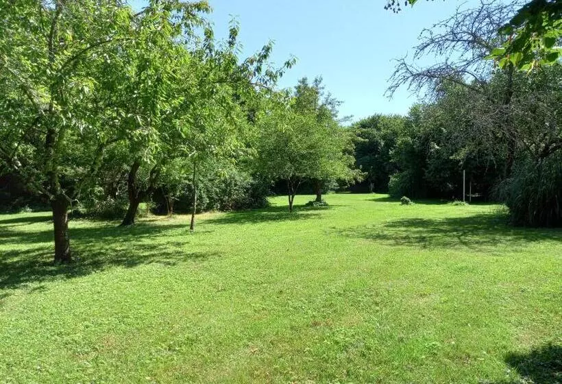 Bed & Breakfast Villa Adèle