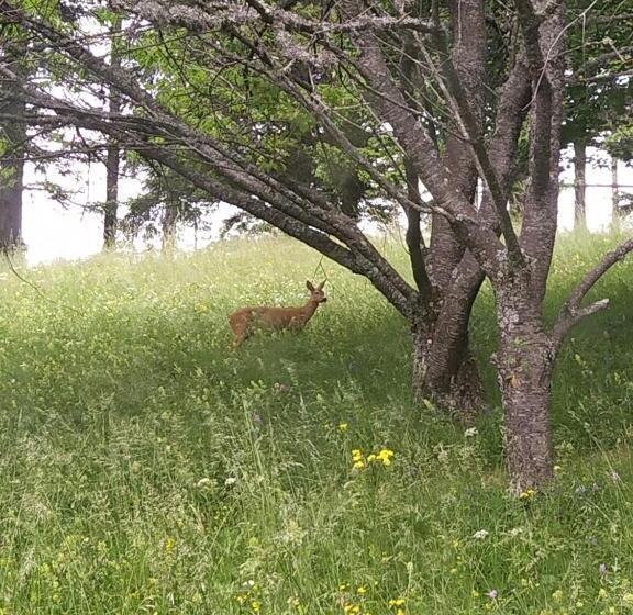 민박 Vue Sur Belladonna