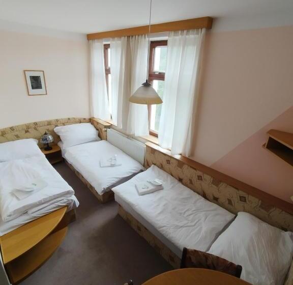 Majatalo Horská Chata Vila Lenka