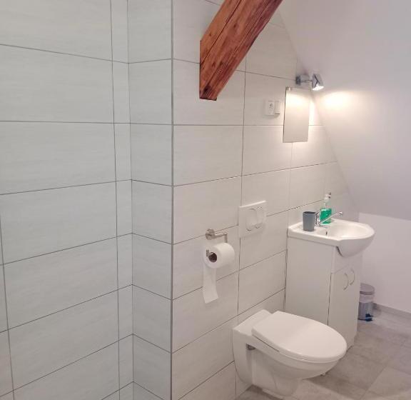 פנסיון Penzion Na Mlýně