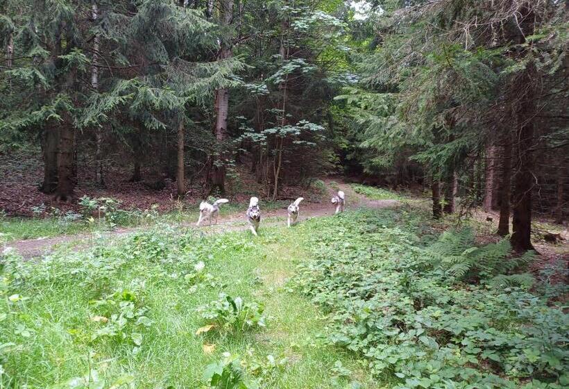 Pensão Prázova Bouda