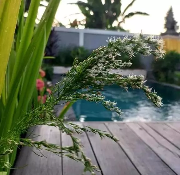 Private Villa Bamboo Cozy