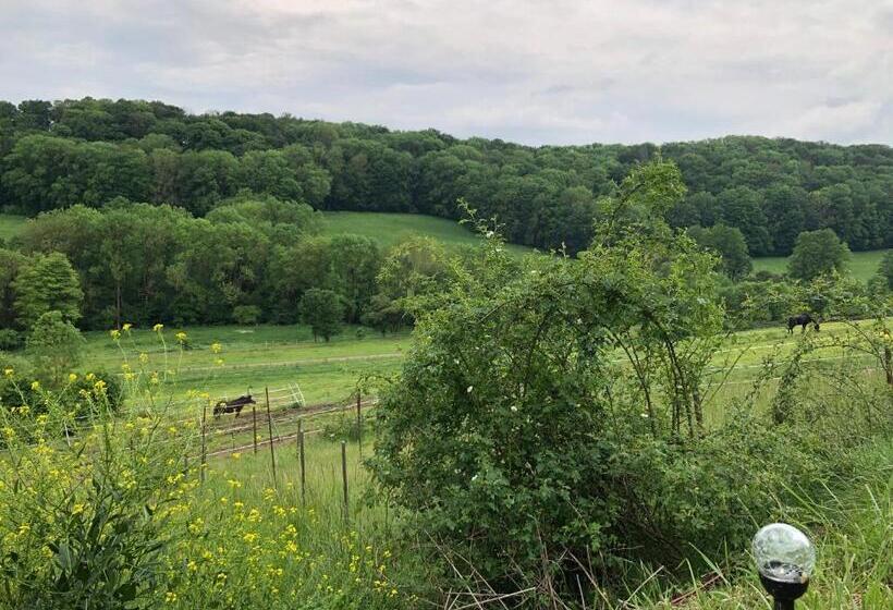 בית מלון כפרי Bauernhof Für Naturliebhaber