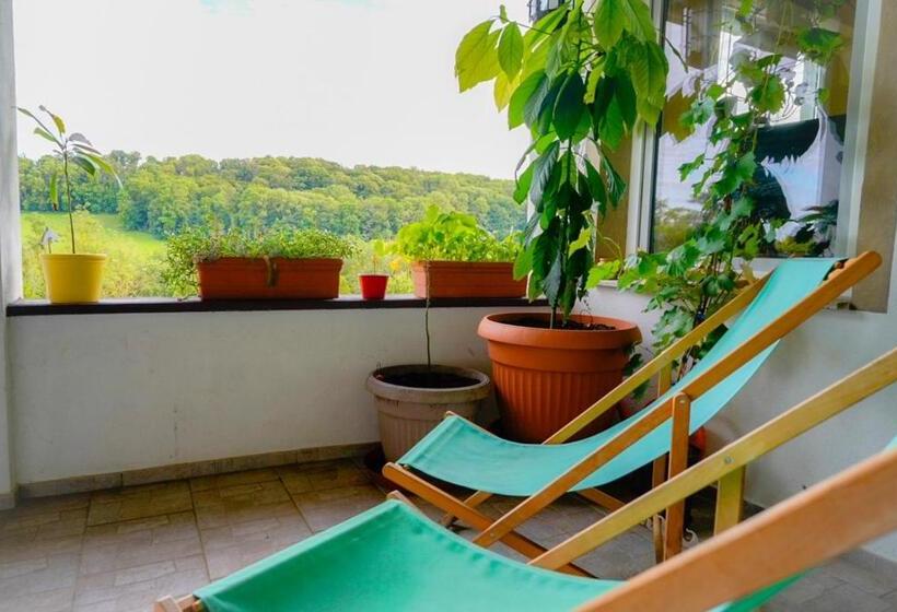 בית מלון כפרי Bauernhof Für Naturliebhaber