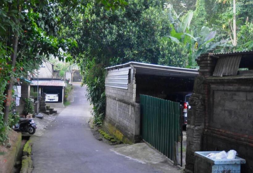 膳宿费 Ampi House