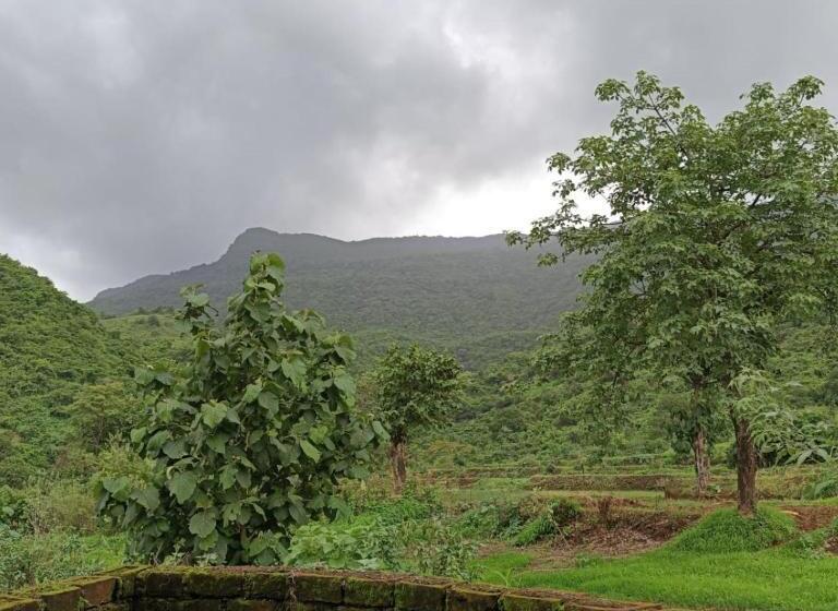 리조트 Vishranti Farm Neral