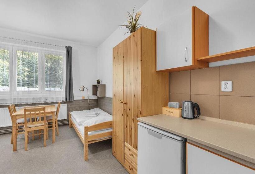پانسیون Apartmány A Ubytování Přemyslova, Hradec Králové