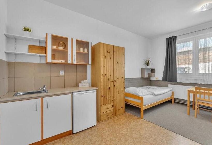 پانسیون Apartmány A Ubytování Přemyslova, Hradec Králové