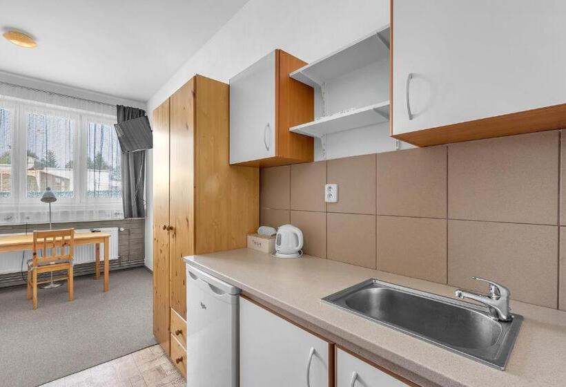 پانسیون Apartmány A Ubytování Přemyslova, Hradec Králové