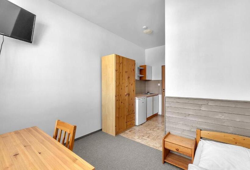 پانسیون Apartmány A Ubytování Přemyslova, Hradec Králové