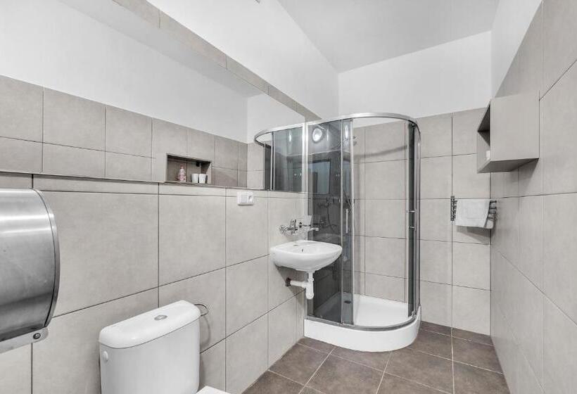 پانسیون Apartmány A Ubytování Přemyslova, Hradec Králové