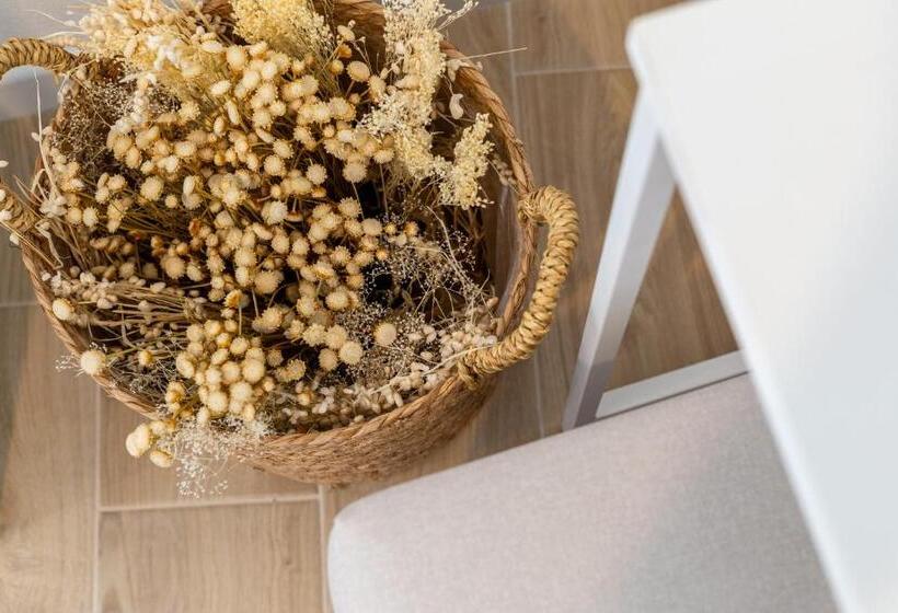 פנסיון Delphis Pula Rooms