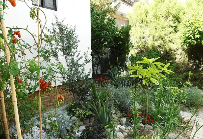 پانسیون Under The Palms