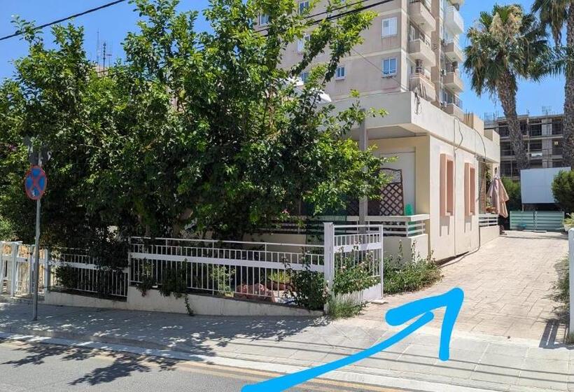 پانسیون Under The Palms