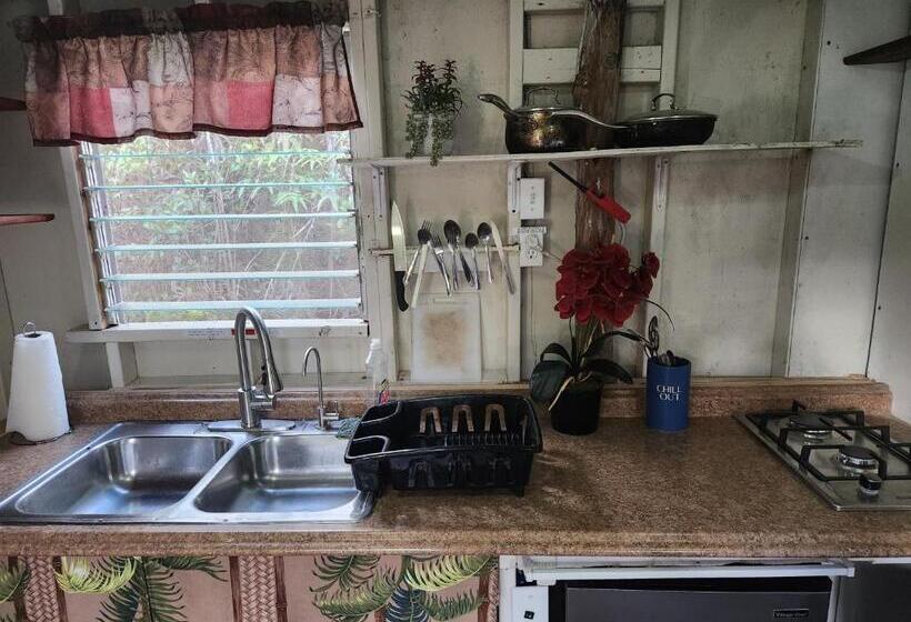 פנסיון Cabin 2 Rustic Private Stay Near Volcano National Park