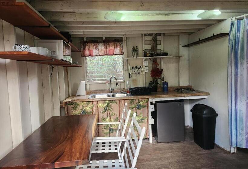 פנסיון Cabin 2 Rustic Private Stay Near Volcano National Park