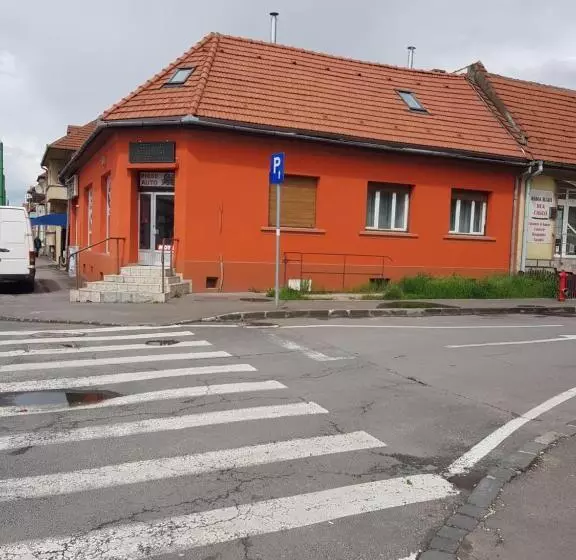 ペンション Casa Adiță