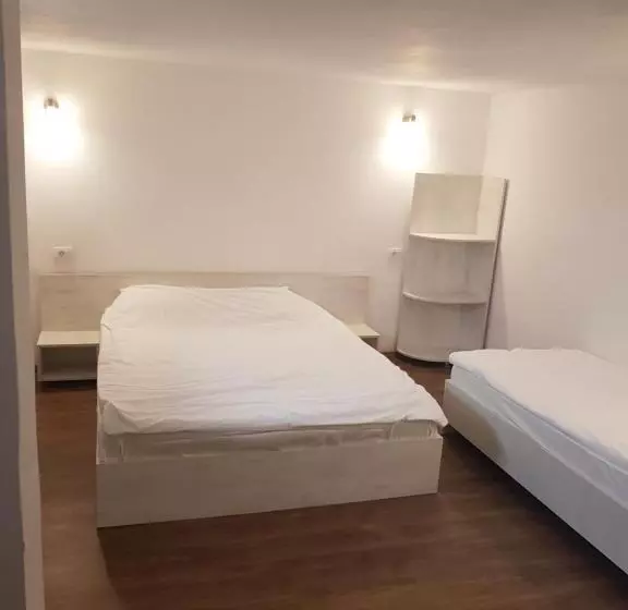 ペンション Casa Adiță