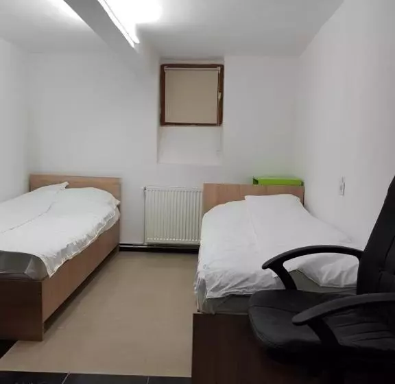 ペンション Casa Adiță