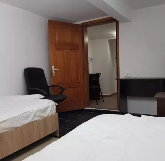 ペンション Casa Adiță