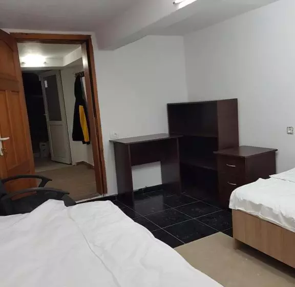 ペンション Casa Adiță