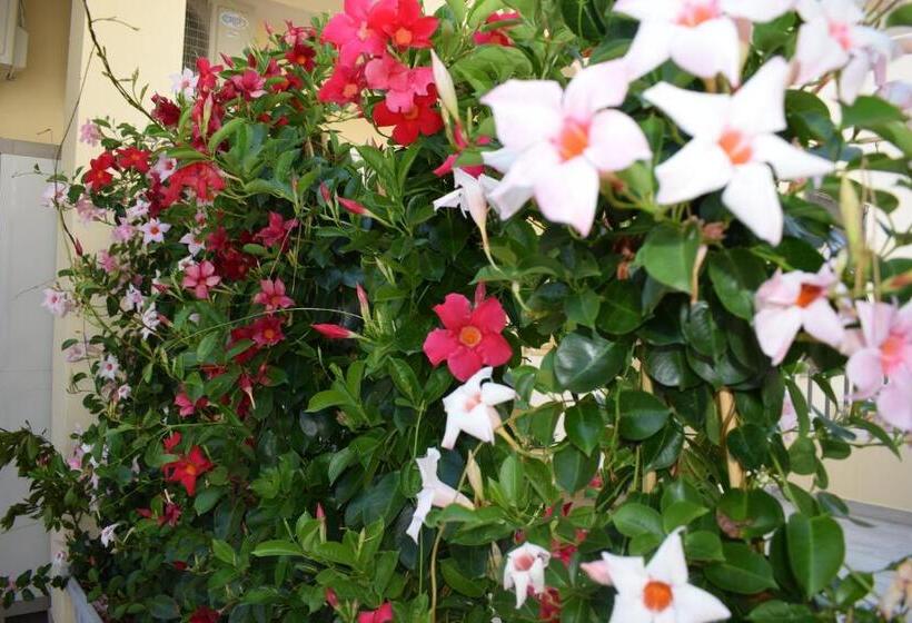 Пансион Lido Rosa Rooms