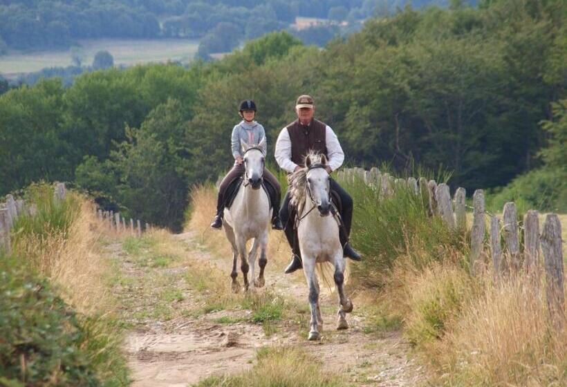 ベッドアンドブレックファースト Chambres D Hôtes Fleur De Lis