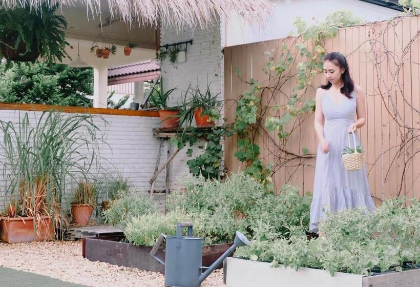 استراحتگاه Sugar Beat